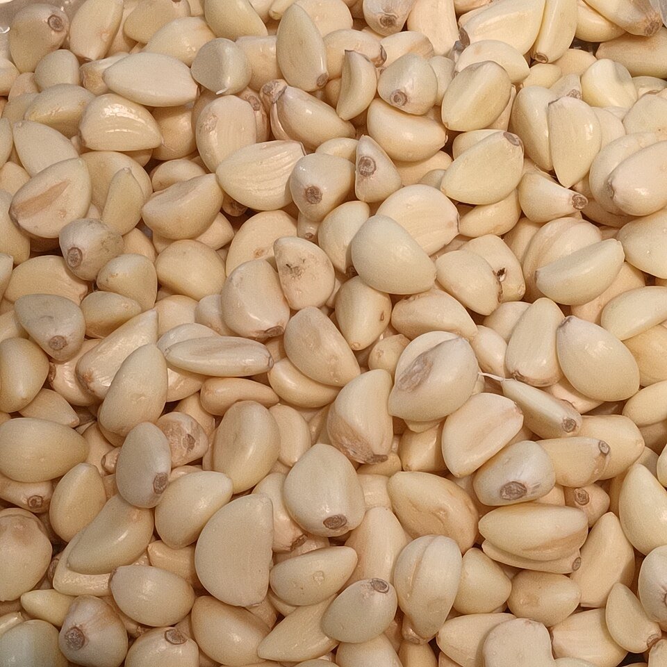 چأتن