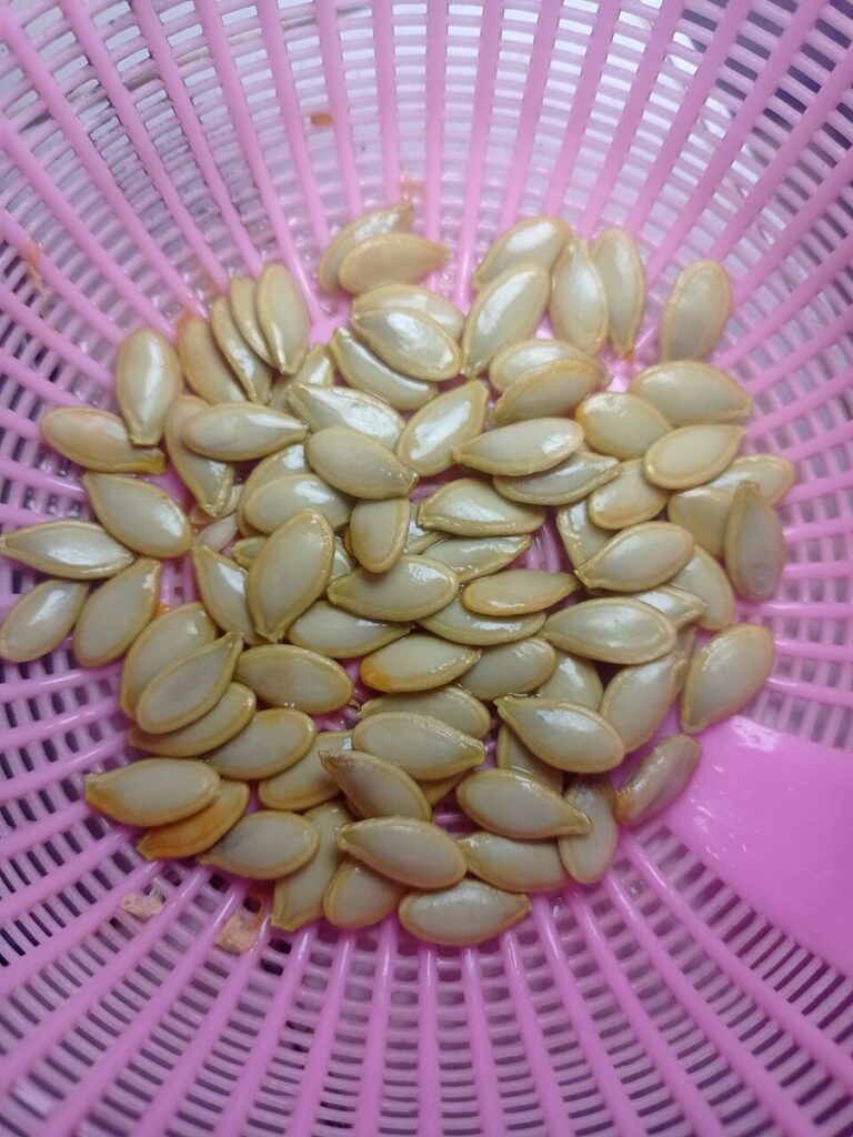 دانه
