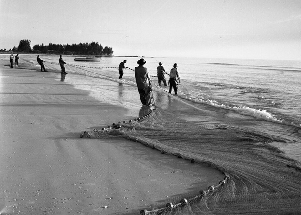 پره
