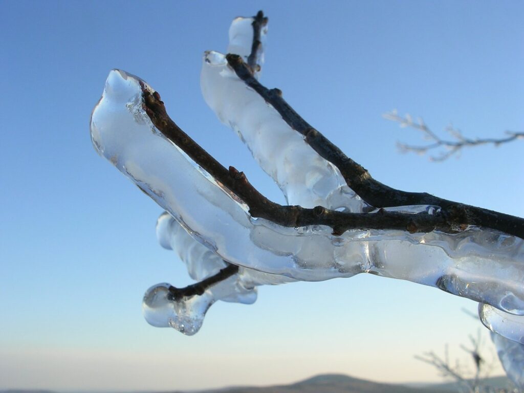 خال