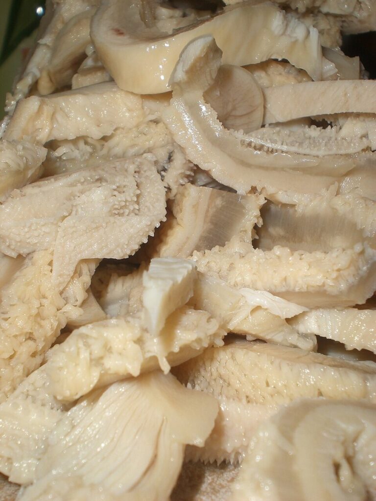 ترنه